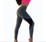 Womens Queen Bee Luxury Fitness Leggings